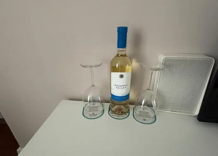 Apartment Evis Bucharest